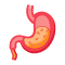 Gastroenterology Medical Billing Services