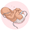 Neonatology Medical Billing Services