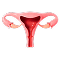 Obstetrics and Gynecology Medical Billing Services