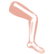 Orthopedic Medical Billing Services