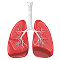 Pulmonology Medical Billing Services